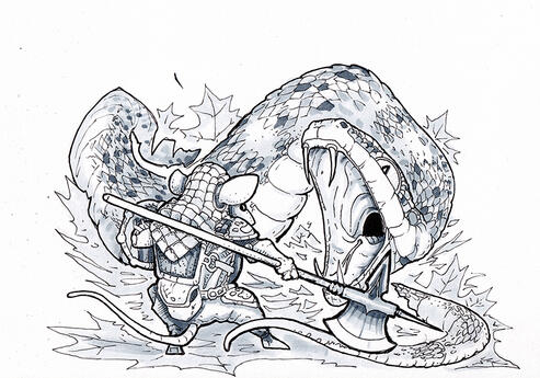 Snake Fight Snake Fight